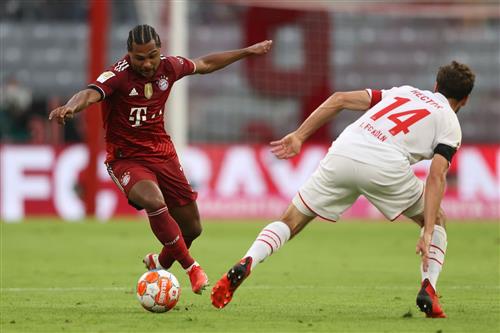 Yipee Bet App: Ultimate Guide to Mobile Betting